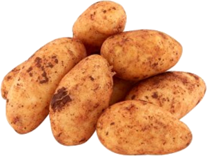 Patates
