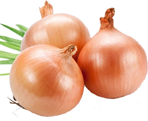 Sarı soğan